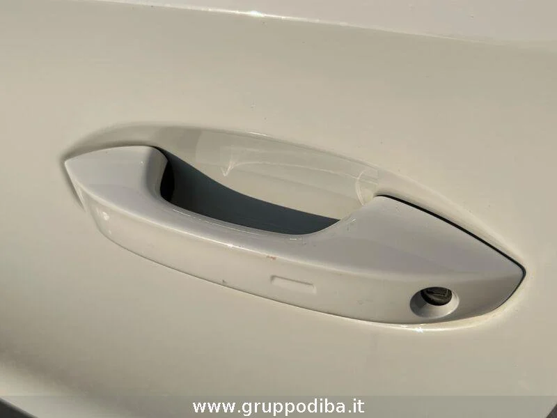 Cupra Formentor Formentor 2.0 tdi 4drive 150cv dsg- Gruppo Diba