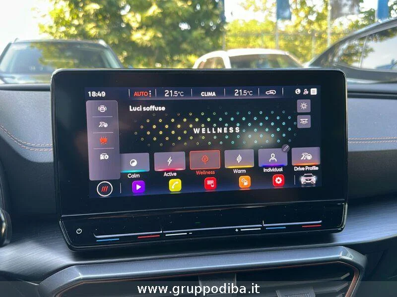 Cupra Formentor Formentor 2.0 tdi 4drive 150cv dsg- Gruppo Diba