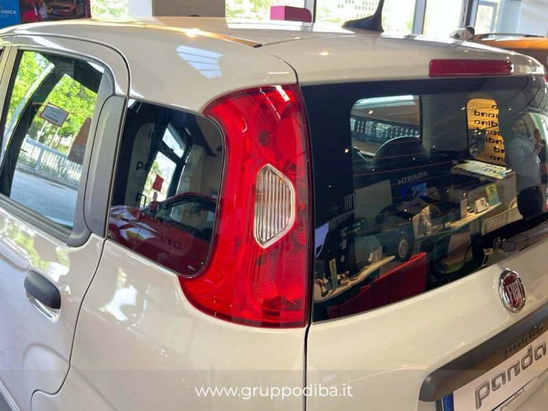 Fiat Pandina Pandina 1.0 firefly hybrid Icon s&s 70cv 5p.ti- Gruppo Diba