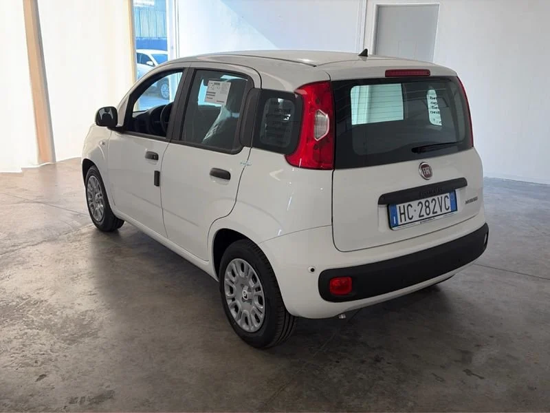 Fiat Pandina Pandina My26 1.0 65cv Hybrid Pop- Gruppo Diba