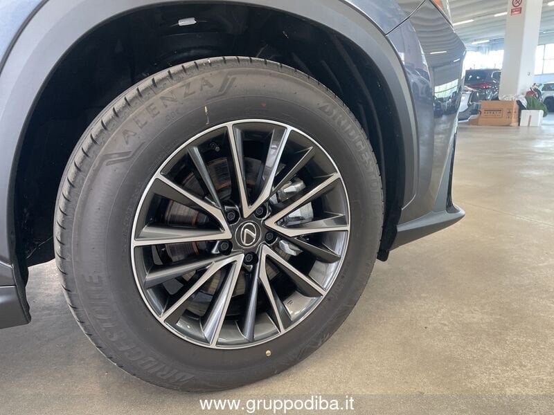 Lexus NX NX 2.5H ECVT 2WD BUSINESS MY24- Gruppo Diba
