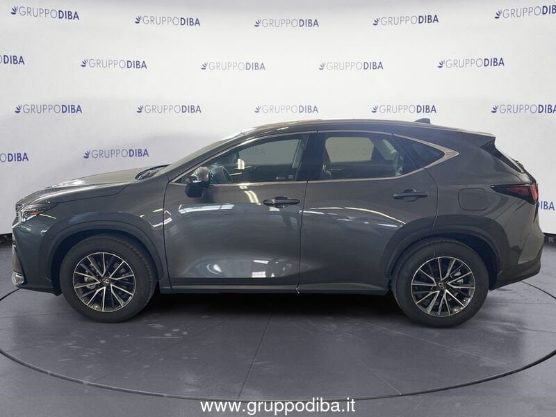 Lexus NX NX 2.5H ECVT 2WD BUSINESS MY24- Gruppo Diba