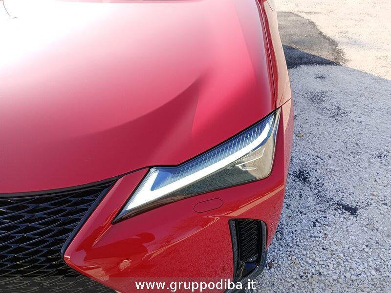 Lexus UX Hybrid UX300H 4WD F-SPORT MY24- Gruppo Diba