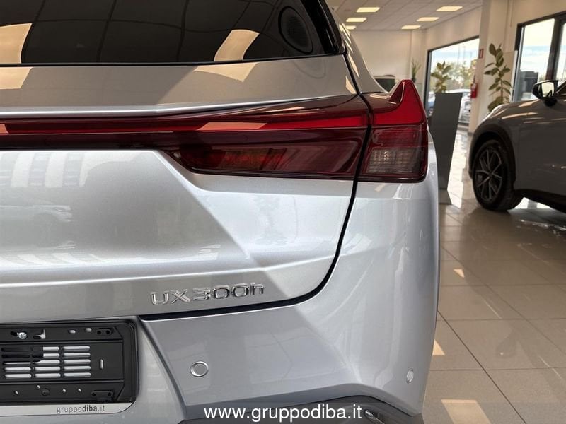 Lexus UX Hybrid UX300H 2WD F-DESIGN MY24- Gruppo Diba