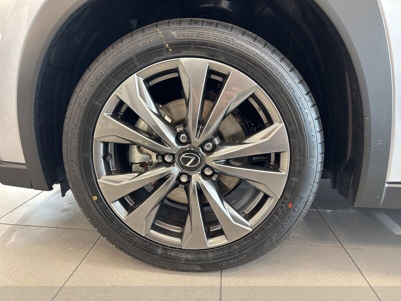 Lexus UX Hybrid UX300H 2WD F-DESIGN MY24- Gruppo Diba
