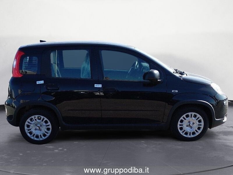 Fiat Panda Panda 1.0 70cv Hybrid Panda- Gruppo Diba