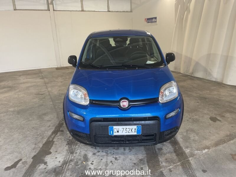 Fiat Panda Panda 1.0 70cv Hybrid Panda- Gruppo Diba