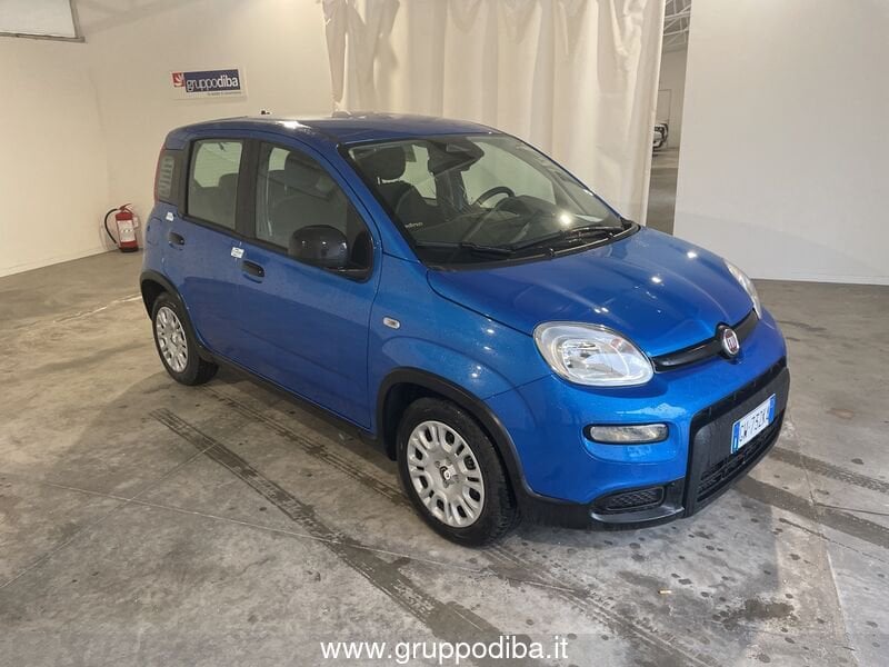 Fiat Panda Panda 1.0 70cv Hybrid Panda- Gruppo Diba