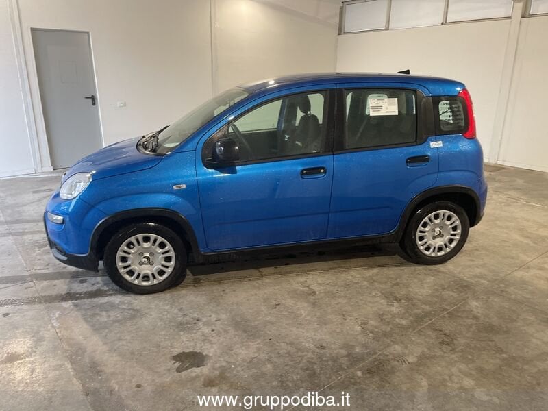 Fiat Panda Panda 1.0 70cv Hybrid Panda- Gruppo Diba