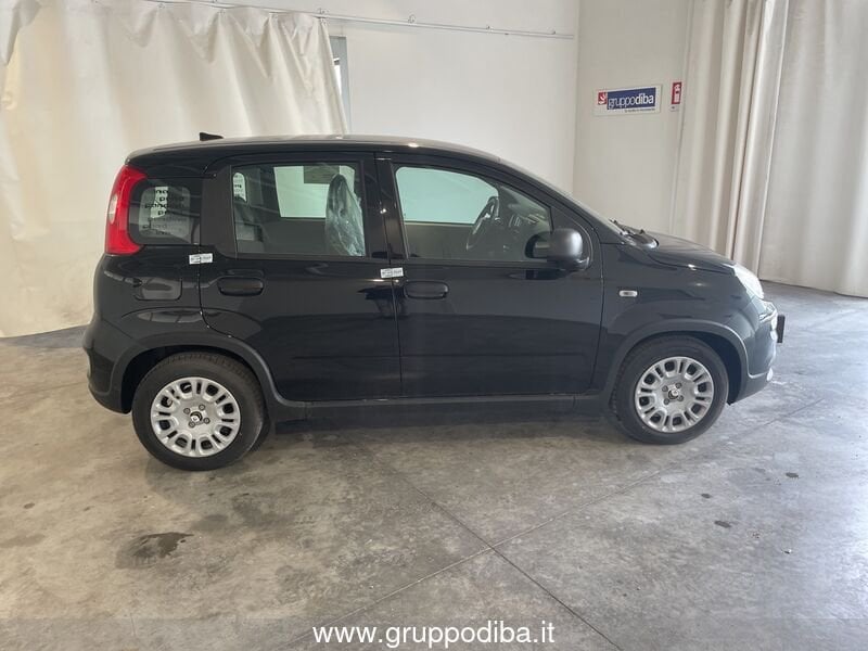Fiat Panda Panda 1.0 70cv Hybrid Panda- Gruppo Diba