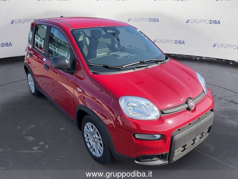 Fiat Panda Panda 1.0 70cv Hybrid Panda- Gruppo Diba