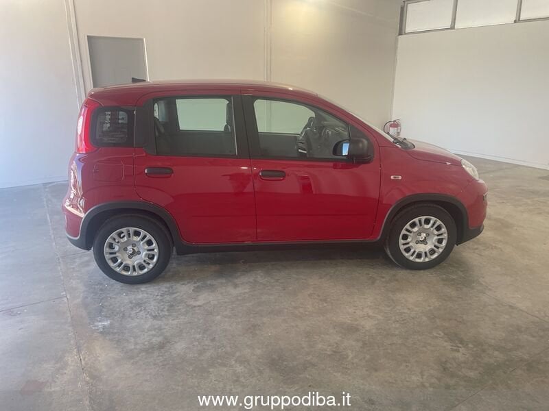 Fiat Panda Panda Serie 7 1.0 70cv HybridPanda- Gruppo Diba