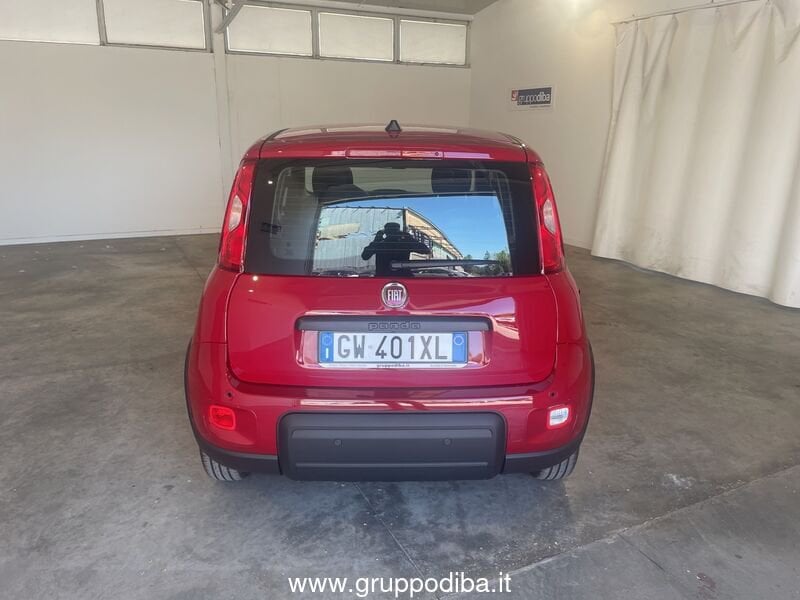 Fiat Panda Panda Serie 7 1.0 70cv HybridPanda- Gruppo Diba