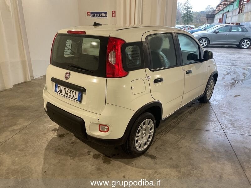 Fiat Panda Panda 1.0 firefly hybrid s&s 70cv- Gruppo Diba