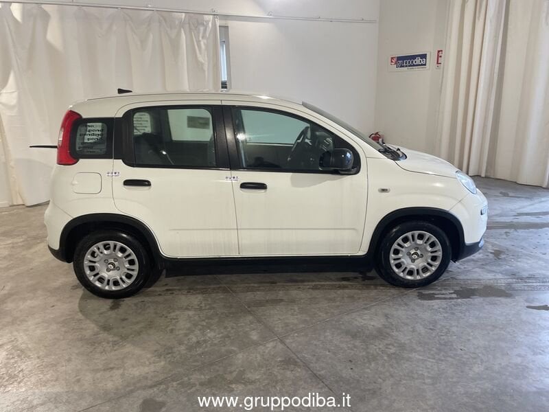 Fiat Panda Panda 1.0 firefly hybrid s&s 70cv- Gruppo Diba