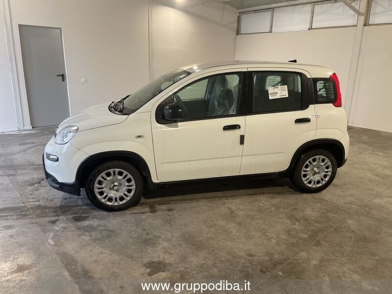 Fiat Panda Panda 1.0 firefly hybrid s&s 70cv- Gruppo Diba