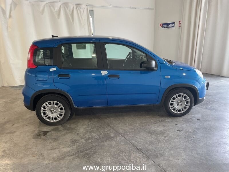Fiat Panda Panda Serie 7 1.0 70cv HybridPanda- Gruppo Diba