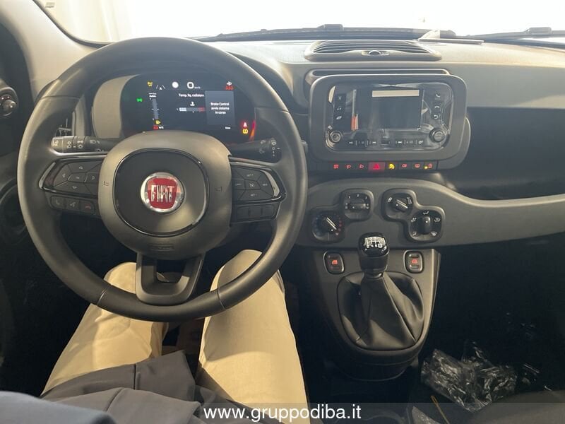 Fiat Panda Panda Serie 7 1.0 70cv HybridPanda- Gruppo Diba