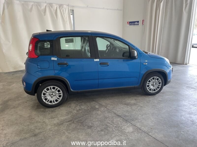 Fiat Panda Panda Serie 7 1.0 70cv HybridPanda- Gruppo Diba
