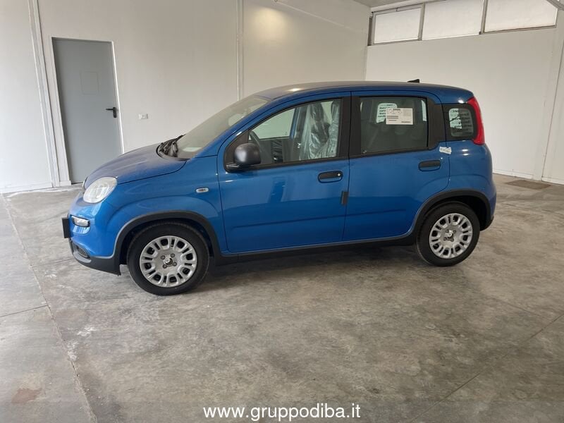 Fiat Panda Panda Serie 7 1.0 70cv HybridPanda- Gruppo Diba