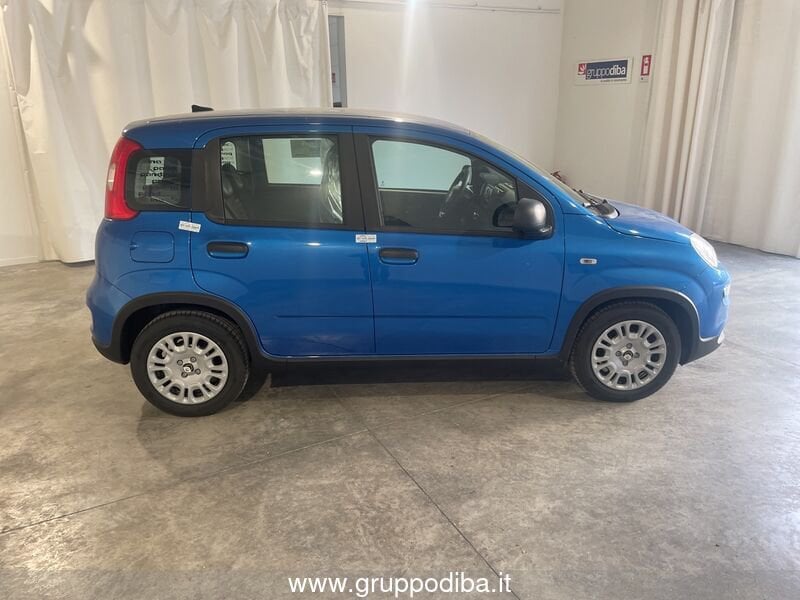 Fiat Panda Panda Serie 7 1.0 70cv HybridPanda- Gruppo Diba
