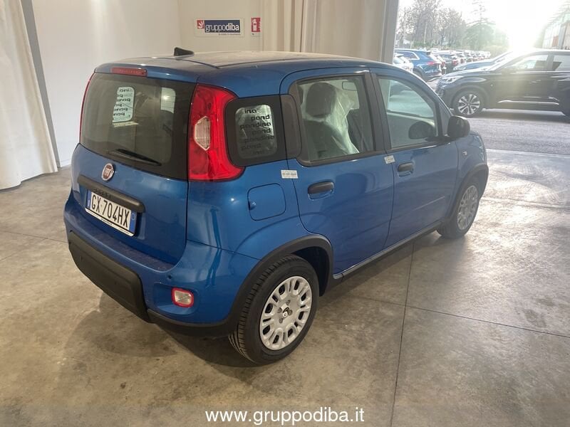 Fiat Panda Panda Serie 7 1.0 70cv HybridPanda- Gruppo Diba