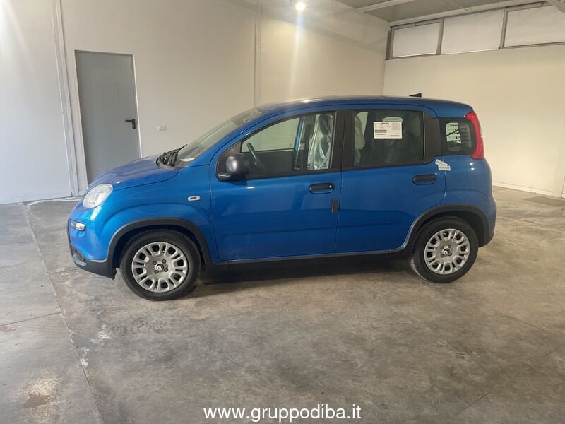 Fiat Panda Panda Serie 7 1.0 70cv HybridPanda- Gruppo Diba