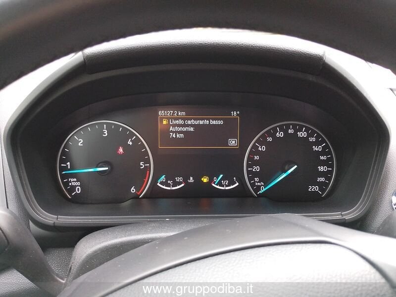 Ford Ecosport EcoSport 1.5 ecoblue Titanium s&s 100cv my19- Gruppo Diba