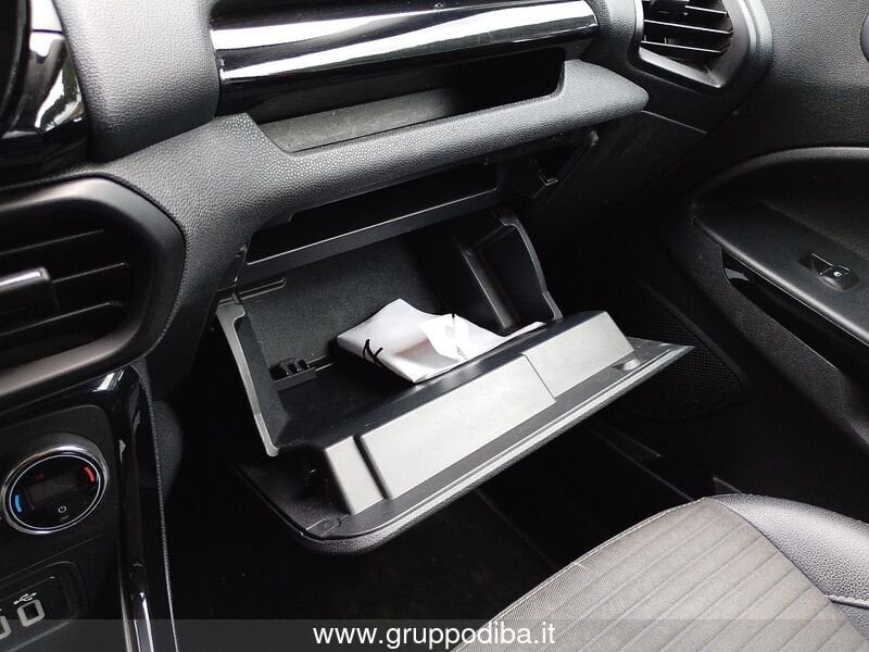 Ford Ecosport EcoSport 1.5 ecoblue Titanium s&s 100cv my19- Gruppo Diba
