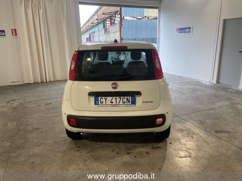 Fiat Panda Panda 1.0 70cv Hybrid Panda- Gruppo Diba