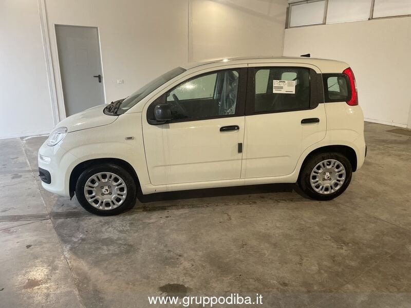 Fiat Panda Panda 1.0 70cv Hybrid Panda- Gruppo Diba