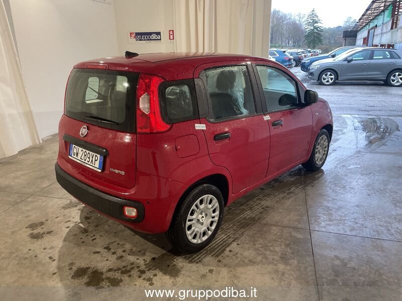 Fiat Panda Panda 1.0 70cv Hybrid Panda- Gruppo Diba
