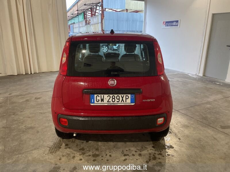 Fiat Panda Panda 1.0 70cv Hybrid Panda- Gruppo Diba