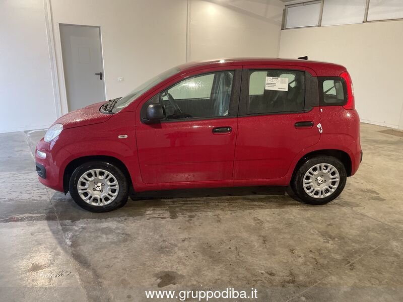 Fiat Panda Panda 1.0 70cv Hybrid Panda- Gruppo Diba