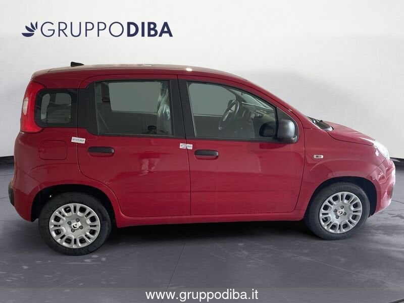 Fiat Panda Panda 1.0 70cv Hybrid Panda- Gruppo Diba