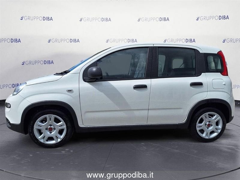 Fiat Panda Panda 1.0 70cv Hybrid Panda- Gruppo Diba
