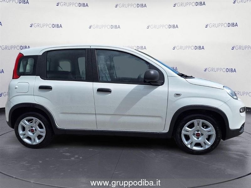 Fiat Panda Panda 1.0 70cv Hybrid Panda- Gruppo Diba