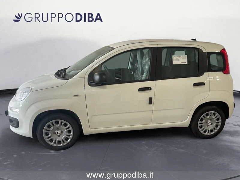 Fiat Panda Panda 1.0 70cv Hybrid Panda- Gruppo Diba