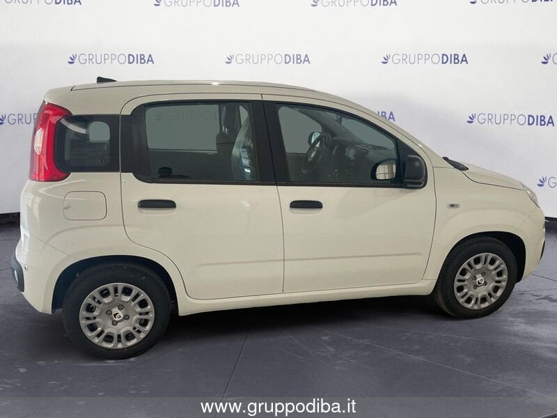 Fiat Panda Panda 1.0 70cv Hybrid Panda- Gruppo Diba