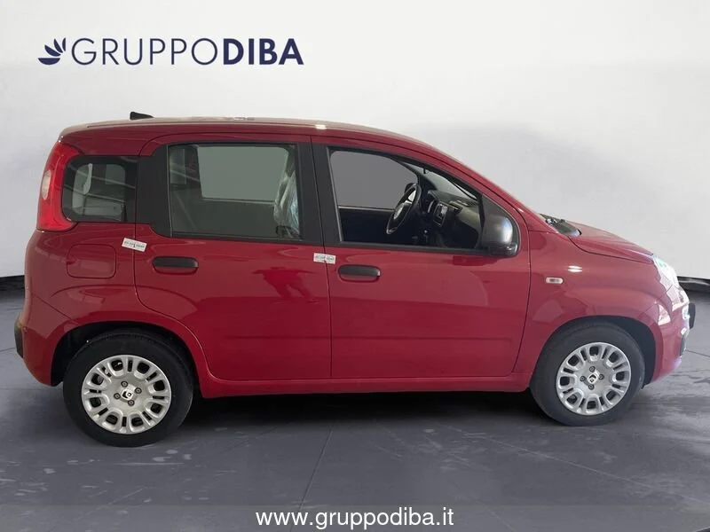 Fiat Panda Panda 1.0 70cv Hybrid Panda- Gruppo Diba