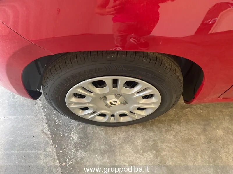 Fiat Panda Panda 1.0 70cv Hybrid Panda- Gruppo Diba