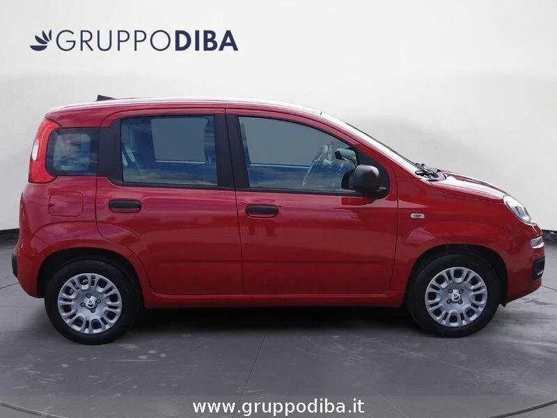Fiat Panda Panda 1.0 70cv Hybrid Panda- Gruppo Diba