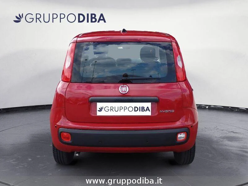 Fiat Panda Panda 1.0 70cv Hybrid Panda- Gruppo Diba