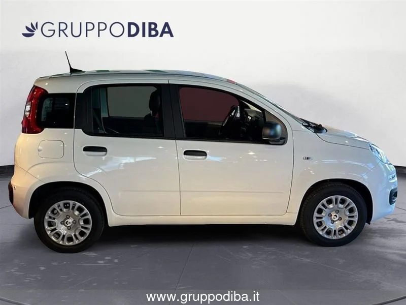 Fiat Panda Panda 1.0 70cv Hybrid Panda- Gruppo Diba