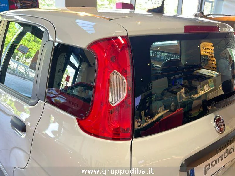 Fiat Panda Panda 1.0 70cv Hybrid Icon- Gruppo Diba