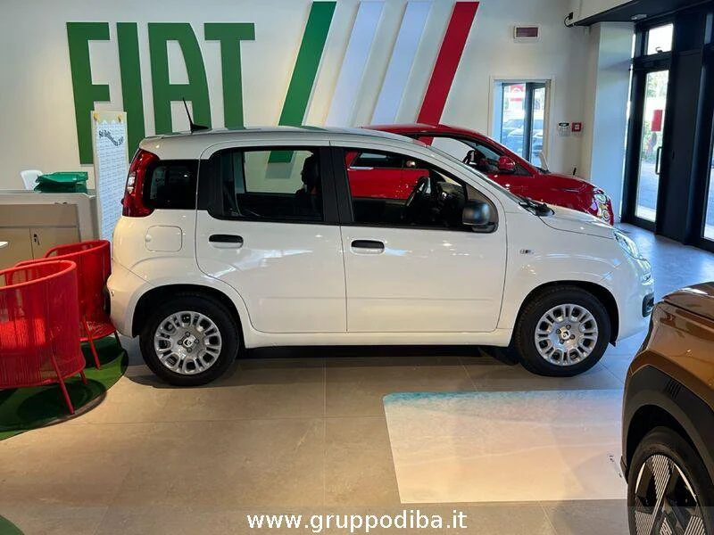 Fiat Panda Panda 1.0 70cv Hybrid Icon- Gruppo Diba