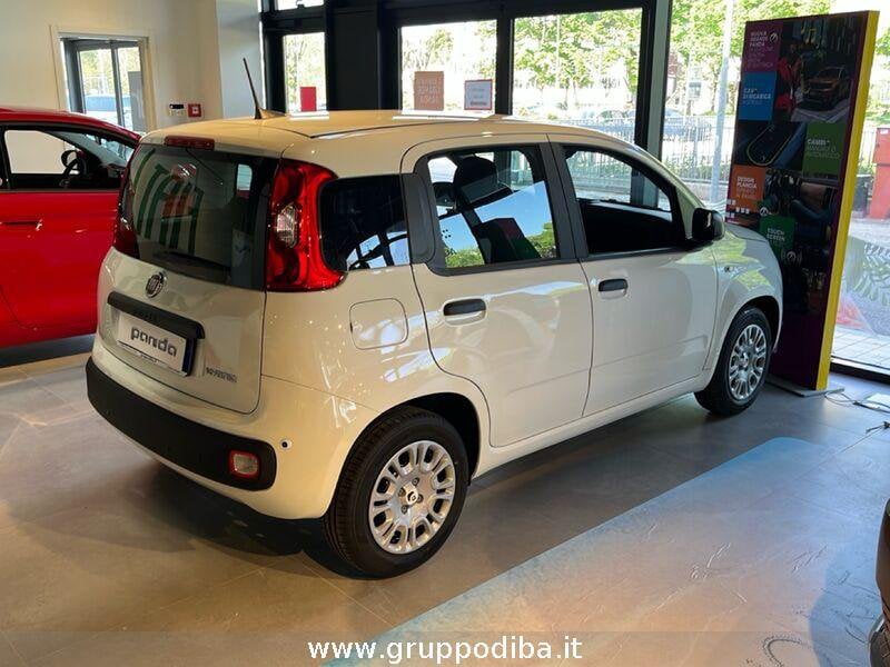 Fiat Panda Panda 1.0 70cv Hybrid Icon- Gruppo Diba