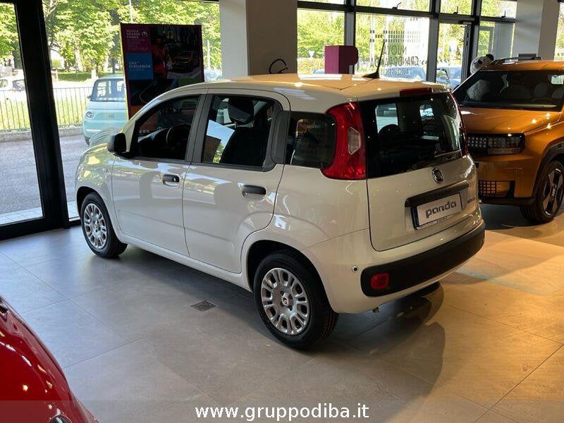 Fiat Panda Panda 1.0 70cv Hybrid Icon- Gruppo Diba