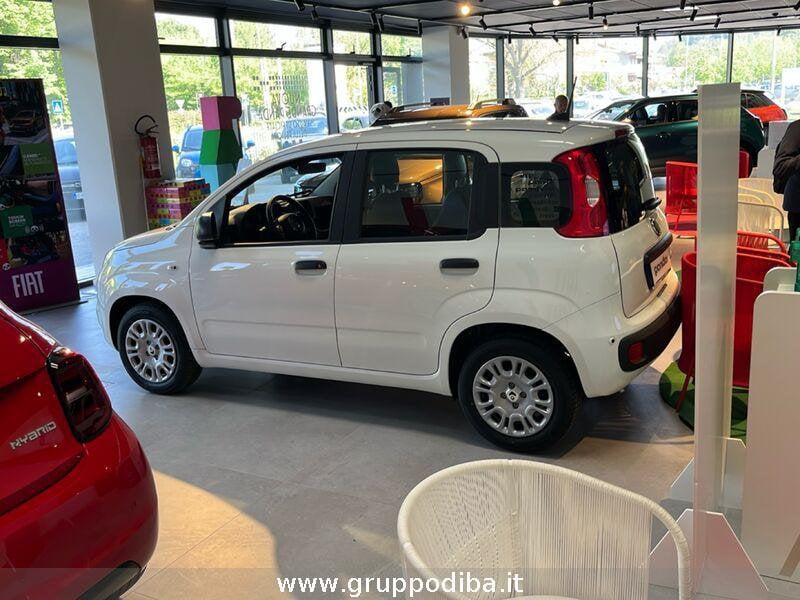 Fiat Panda Panda 1.0 70cv Hybrid Icon- Gruppo Diba