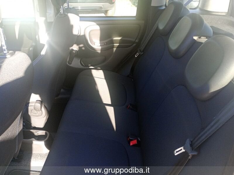 Fiat Panda Panda 1.0 firefly hybrid City Life s&s 70cv 5p.ti- Gruppo Diba